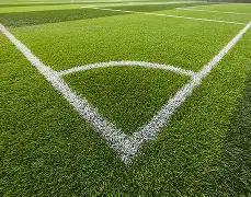 传奇外援弗,兰克,浙江豪强或,好博体育官网,Hao,BoSports,足球直播,篮球赛事,体育高清,NBA直播